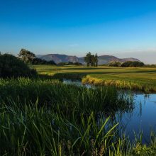 Maesdu Golf Club